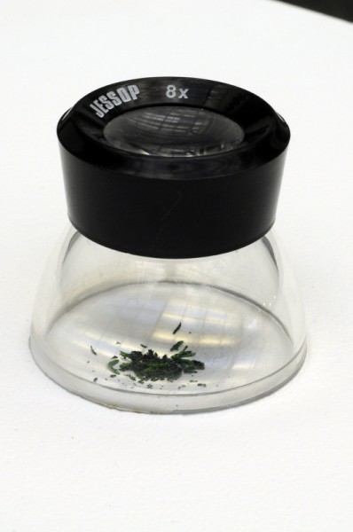 Itch (1999) (detail)&nbsp;88 x 34 x 34 cm. Magnifier Lupe 8x, scrapings from a lottery scratch card, plinth '...in Itch a small magnifying eye glass, of the type used to examine photographic negatives in detail, rests on a white plinth. A squint at what nestles under its tiny dome reveals the silver scrapings of a lottery scratch card: a wondrous, crystalline mountainscape in miniature. The displayed detritus of a failed (and decidedly non-transcendental) wager offers us as if by way of compensation, a window onto the lilliputian sublime...'&nbsp;( text extract from Small Steps,&nbsp;Caoimhin Mac Giolla Leith,&nbsp;&nbsp;Catalogue 2001) &nbsp;&nbsp; &nbsp;