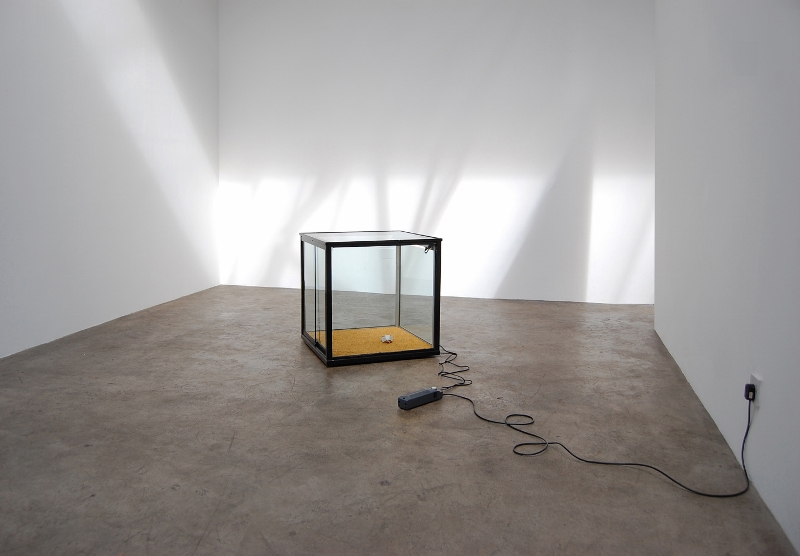 From Day One (2008) variable dimensions, approx. 63.5 x 63.5 x 68 cm. illuminated glass display case, carpet, crumpled card (child's shirt collar insert)&nbsp;