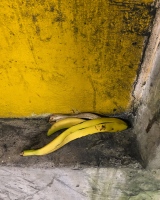 Locky Morris / carparkbanana / Instagram post / 20-11-2020 &nbsp;&nbsp;